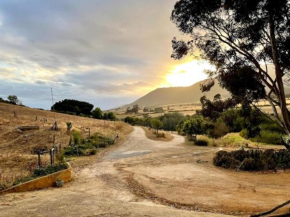 Swaynekloof Farm